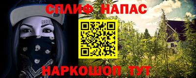apvp Ставрополь