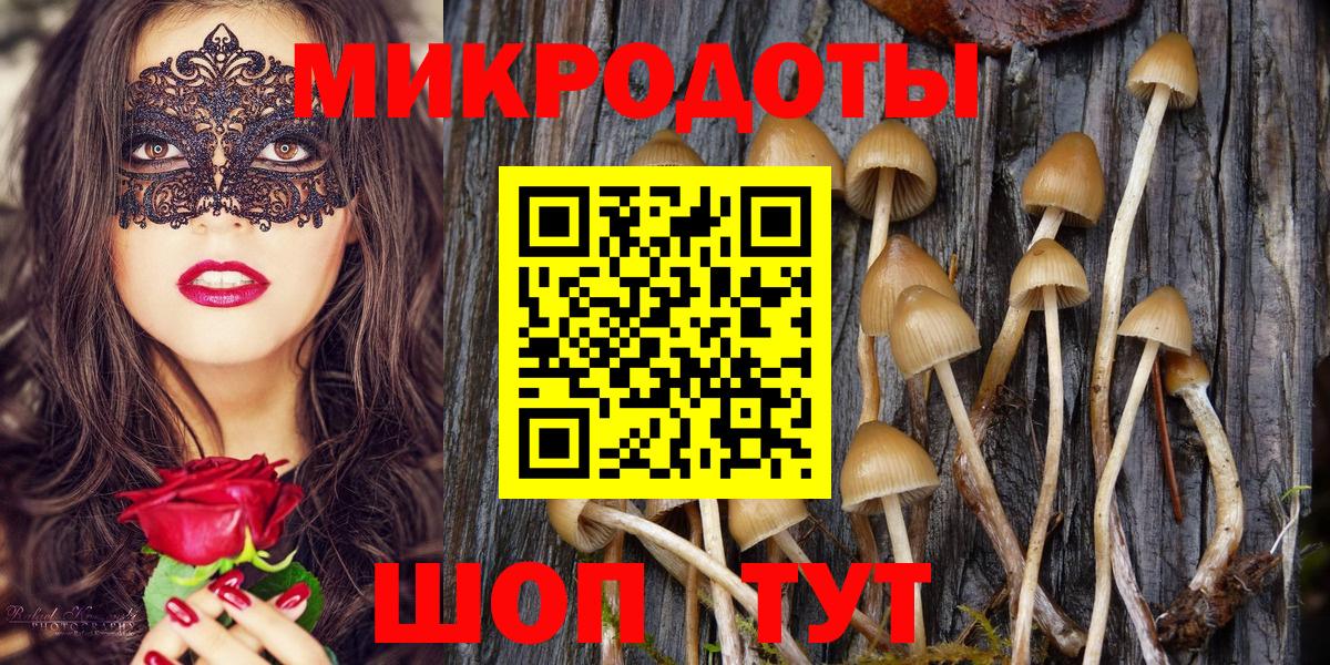Солнечногорск  Галлюциногенные грибы MAGIC MUSHROOMS  Вход с VPN 