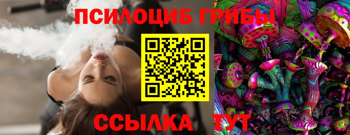 Псилоцибиновые грибы Psilocybe Солнечногорск