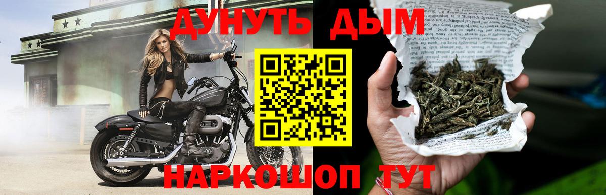 Бошки Шишки гибрид Солнечногорск